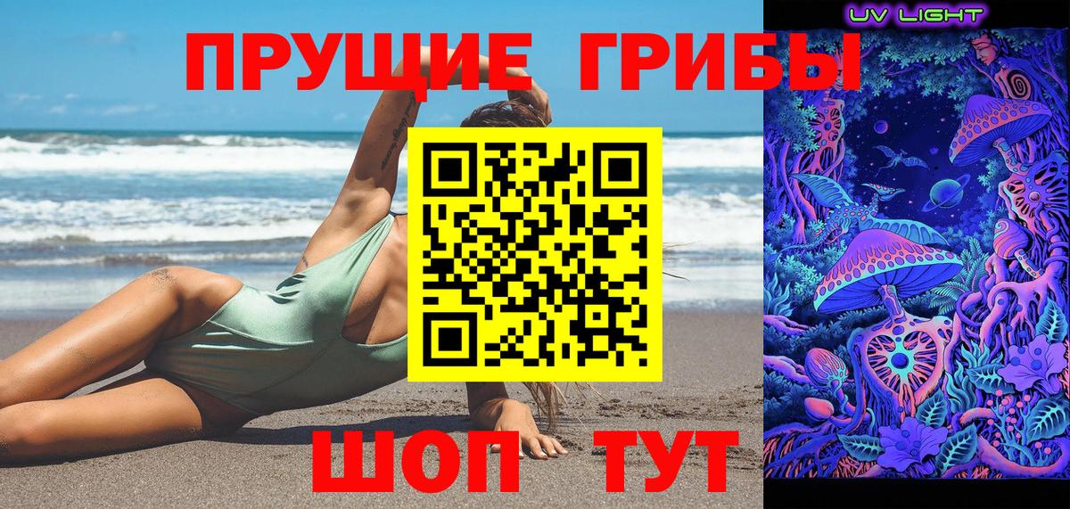 Сокол  Галлюциногенные грибы Psilocybine cubensis  Вход с VPN 