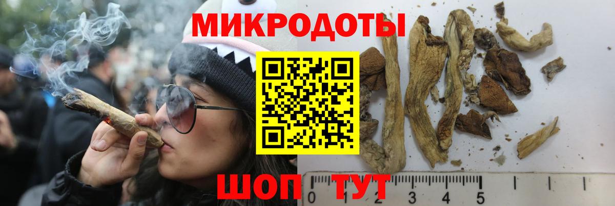 Псилоцибиновые грибы ЛСД Сокол