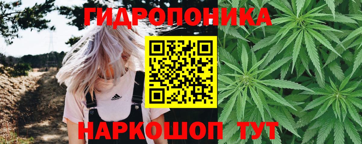 Канабис Ganja  Вход с VPN  МАРИХУАНА планчик  МАРИХУАНА SATIVA & INDICA  Каннабис Bruce Banner  Сокол 